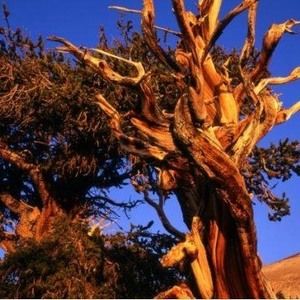 Meet your Posher, Angelina